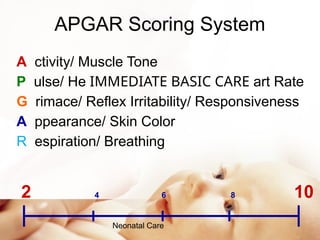 Comprehensive Guide to Essential Newborn Care and Routine Neonatal ...