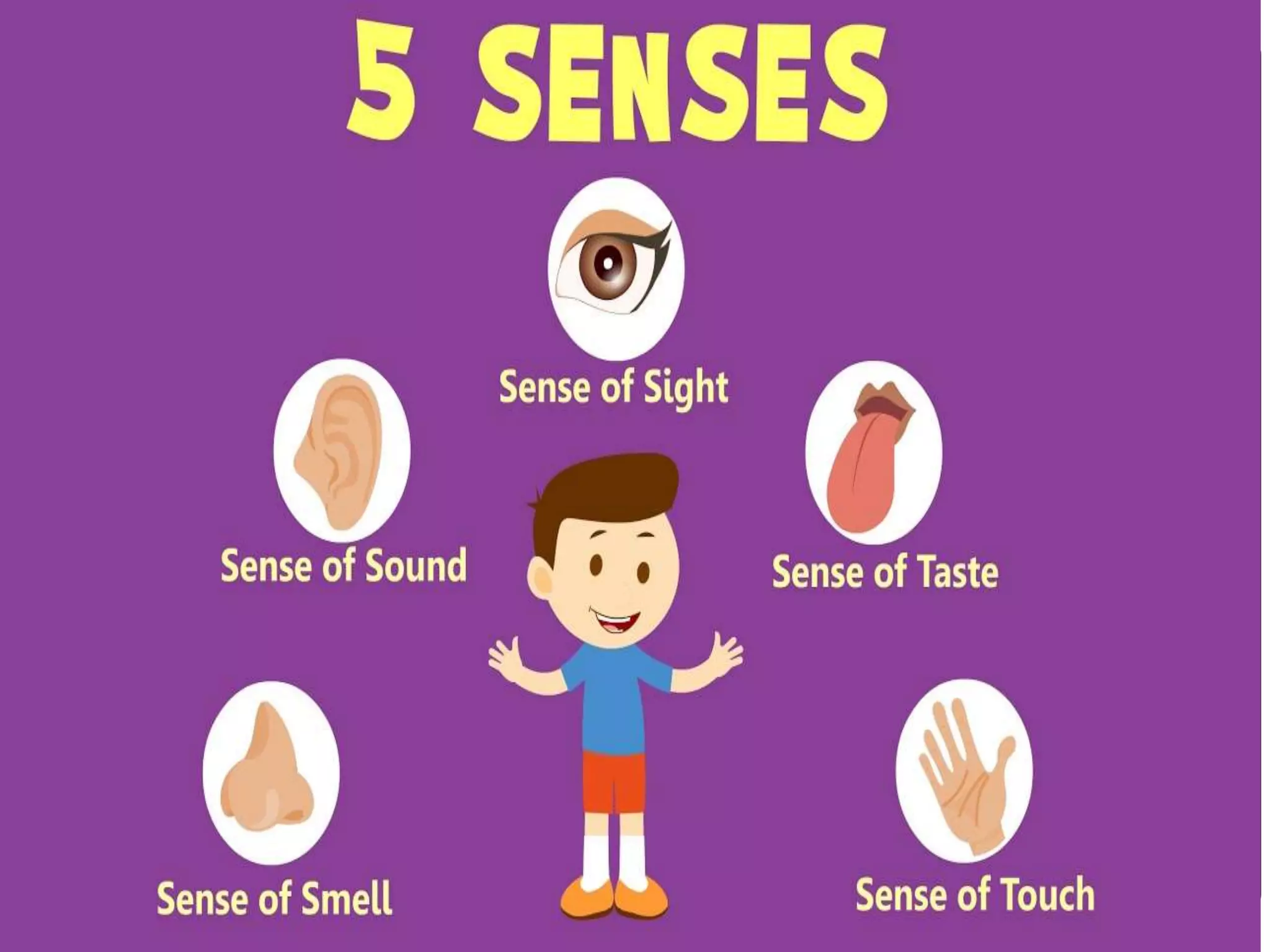 Care of patients having alterations in sensory function | PPTX