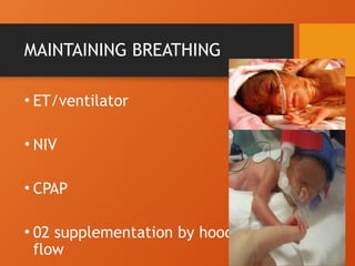 MAINTAINING BREATHING
• ET/ventilator
• NIV
• CPAP
• 02 supplementation by hood/free
flow
 