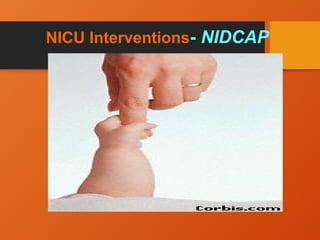 NICU Interventions- NIDCAP
 