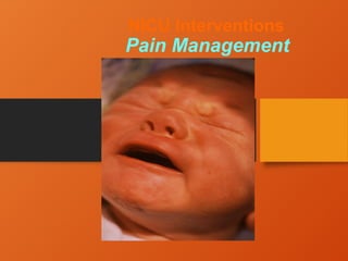 NICU Interventions
Pain Management
 