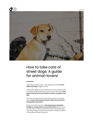 How to take care of
street dogs: A guide
for animal-lovers!
Introduction
Amidst India’s bustling streets, a vast population of around 35 to 40
million street dogs struggle to survive.
These resilient beings live lives far different from their pampered indoor
counterparts. While the latter enjoy love and care in their homes, street
dogs constantly hunt for food, battle for territory, and fight to stay
alive.
Their story is marked not just by harsh living conditions, but societal
stigma. They’re often viewed as threats, which can fuel more fear
and negativity toward them.
But the truth couldn’t be further. street dogs possess remarkable
intelligence, strong emotions, and natural instincts. With some love
and care, they can show you their gentle, sweet, and protective spirit.
Supporting our dogs is important, and we want to change the tradition
of overlooking their needs and welfare.
About Us
Causes
Projects
Corporate
Social
Responsibility
NDTV Launch
Contact
Blog
 