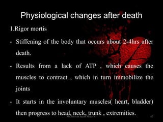 Physiological changes after death
1.Rigor mortis
- Stiffening of the body that occurs about 2-4hrs after
death.
- Results from a lack of ATP , which causes the
muscles to contract , which in turn immobilize the
joints
- It starts in the involuntary muscles( heart, bladder)
then progress to head, neck, trunk , extremities. 67Mr. Melvin Jacob MSc (N)
 