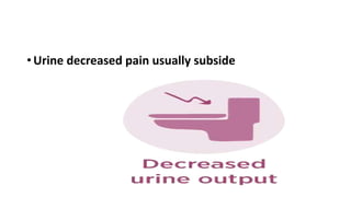 • Urine decreased pain usually subside
 