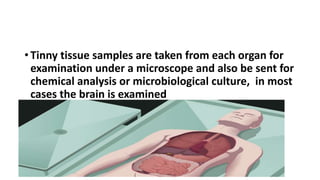 • Tinny tissue samples are taken from each organ for
examination under a microscope and also be sent for
chemical analysis or microbiological culture, in most
cases the brain is examined
 