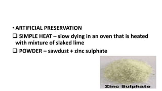 • ARTIFICIAL PRESERVATION
 SIMPLE HEAT – slow dying in an oven that is heated
with mixture of slaked lime
 POWDER – sawdust + zinc sulphate
 