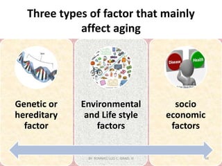 Three types of factor that mainly
affect aging
Genetic or
hereditary
factor
Environmental
and Life style
factors
socio
economic
factors
BY: ROMMEL LUIS C. ISRAEL III 48
 