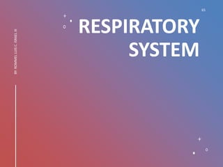 RESPIRATORY
SYSTEM
65
BY:
ROMMEL
LUIS
C.
ISRAEL
III
 