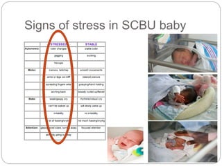 Care Of The Small Baby | PPTX