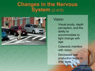 Changes in the Nervous
System (2 of 6)
• Vision
– Visual acuity, depth
perception, and the
ability to
accommodate to
light change with
age.
– Cataracts interfere
with vision.
– Decreased tear
production leads to
drier eyes.
 