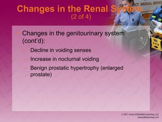 Changes in the Renal System
(2 of 4)
• Changes in the genitourinary system
(cont’d):
– Decline in voiding senses
– Increase in nocturnal voiding
– Benign prostatic hypertrophy (enlarged
prostate)
 