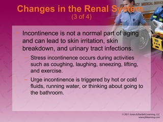 Changes in the Renal System
(3 of 4)
• Incontinence is not a normal part of aging
and can lead to skin irritation, skin
breakdown, and urinary tract infections.
– Stress incontinence occurs during activities
such as coughing, laughing, sneezing, lifting,
and exercise.
– Urge incontinence is triggered by hot or cold
fluids, running water, or thinking about going to
the bathroom.
 