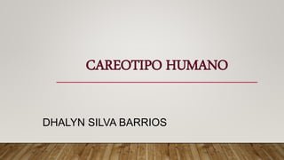 CAREOTIPO HUMANO
DHALYN SILVA BARRIOS
 