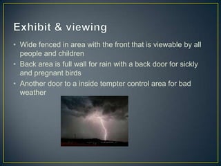 • Wide fenced in area with the front that is viewable by all
  people and children
• Back area is full wall for rain with a back door for sickly
  and pregnant birds
• Another door to a inside tempter control area for bad
  weather
 