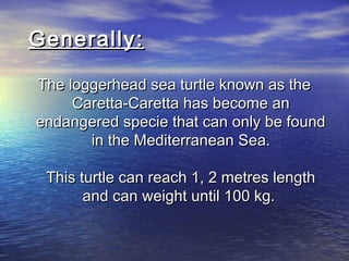 caretta-caretta-ppt