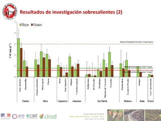 Avances de investigación en cd en cacao