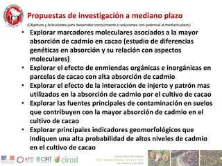 Avances de investigación en cd en cacao