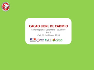 Avances de investigación en cd en cacao