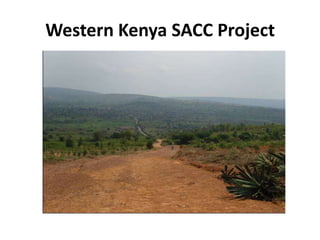 Western Kenya SACC Project
 