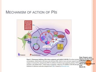 MECHANISM OF ACTION OF PIS
Past, Present, and a
Glance into the Future
of Multiple Myeloma
Treatment.
Weam Othman Elbezanti
et.al,
March 23.
 
