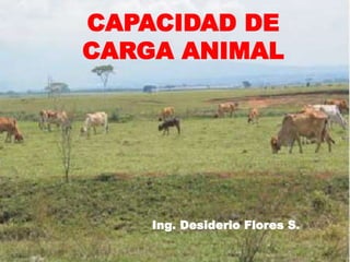 CAPACIDAD DE
CARGA ANIMAL
Ing. Desiderio Flores S.
 