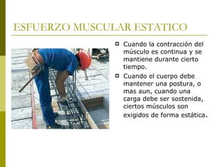 ESFUERZO MUSCULAR ESTATICO Cuando la contracción del músculo es continua y se mantiene durante cierto tiempo. Cuando el cuerpo debe mantener una postura, o mas aun, cuando una carga debe ser sostenida, ciertos músculos son exigidos de forma estática . 