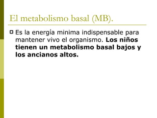 El metabolismo basal (MB). Es la energía minima indispensable para mantener vivo el organismo.  Los niños tienen un metabolismo basal bajos y los ancianos altos. 