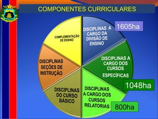 COMPONENTES CURRICULARES
1048ha
1605ha
800ha
 