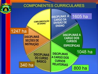 COMPONENTES CURRICULARES
340 ha
1247 ha
800 ha
1048 ha
1605 ha
 