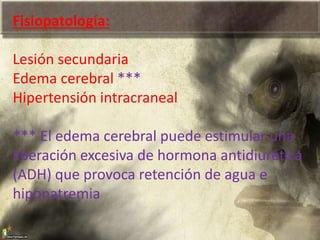 Fisiopatología:
Lesión secundaria
Edema cerebral ***
Hipertensión intracraneal
*** El edema cerebral puede estimular una
liberación excesiva de hormona antidiurética
(ADH) que provoca retención de agua e
hiponatremia
 