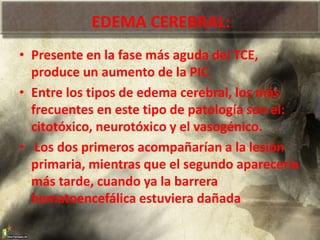 EDEMA CEREBRAL:
• Presente en la fase más aguda del TCE,
produce un aumento de la PIC.
• Entre los tipos de edema cerebral, los más
frecuentes en este tipo de patología son el:
citotóxico, neurotóxico y el vasogénico.
• Los dos primeros acompañarían a la lesión
primaria, mientras que el segundo aparecería
más tarde, cuando ya la barrera
hematoencefálica estuviera dañada
 