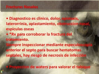 Fracturas Nasales
• Diagnostico es clinico, dolor, epistaxis,
laterorrinia, aplastamiento, obstruccion nasal,
espiculas oseas
• *Rx para corroborar la fractura del
tratamiento.
Siempre inspeccionar mediante especuloscopia
anterior el septo para buscar hematomas
septales, hay riesgo de necrosis de infección
• Proyeccion de waters para valorar el tabique
 