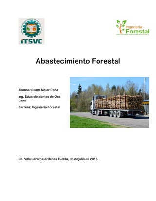 Abastecimiento Forestal
Alumna: Eliana Molar Peña
Ing. Eduardo Montes de Oca
Cano
Carrera: Ingeniería Forestal
Cd. Villa Lázaro Cárdenas Puebla, 06 de julio de 2016.
 