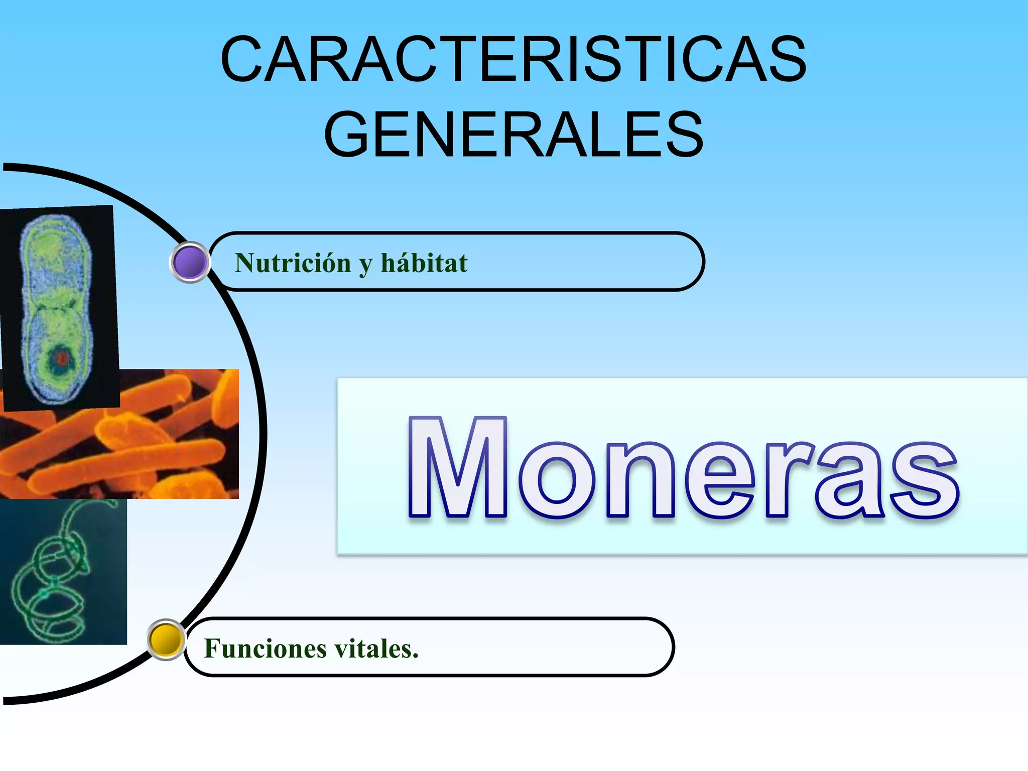 Caracteristicas Reino Monera | PPSX