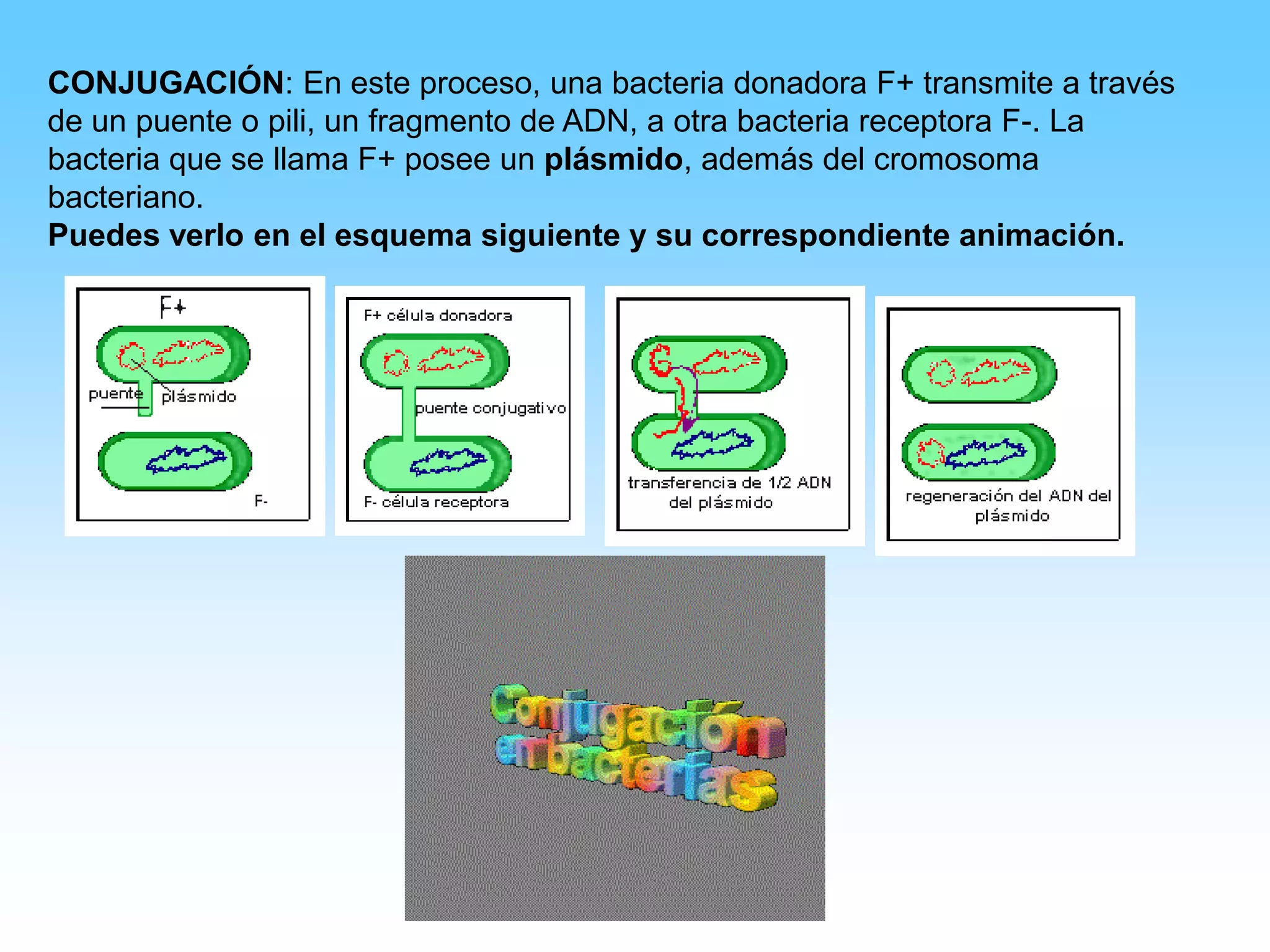 Caracteristicas Reino Monera | PPSX