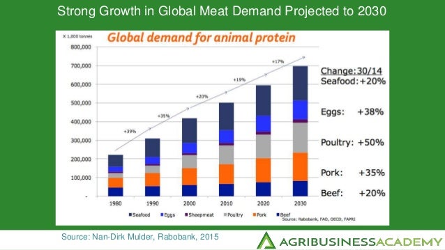 mastering market realities in global meat industry globe meats flyer