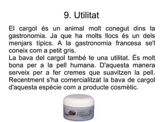 9. Utilitat
El cargol és un animal molt conegut dins la
gastronomia. Ja que ha molts llocs és un dels
menjars típics. A la gastronomia francesa se'l
coneix com a petit gris.
La bava del cargol també te una utilitat. És molt
bona per a la pell humana. D'aquesta manera
serveix per a fer cremes que suavitzen la pell.
Recentment s'ha comercialitzat la bava de cargol
d'aquesta espècie com a producte cosmètic.
 