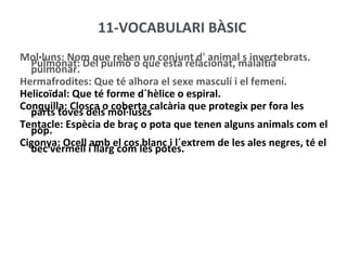 11-VOCABULARI BÀSIC
Mol·luns: Nom que reben un conjunt d' animal s invertebrats.
  Pulmonat: Del pulmó o que està relacionat, malaltia
  pulmonar.
Hermafrodites: Que té alhora el sexe masculí i el femení.
Helicoïdal: Que té forme d´hèlice o espiral.
Conquilla: Closca o coberta calcària que protegix per fora les
  parts toves dels mol·luscs
Tentacle: Espècia de braç o pota que tenen alguns animals com el
  pop.
Cigonya: Ocell amb el cos blanc i l´extrem de les ales negres, té el
  bec vermell i llarg com les potes.
 