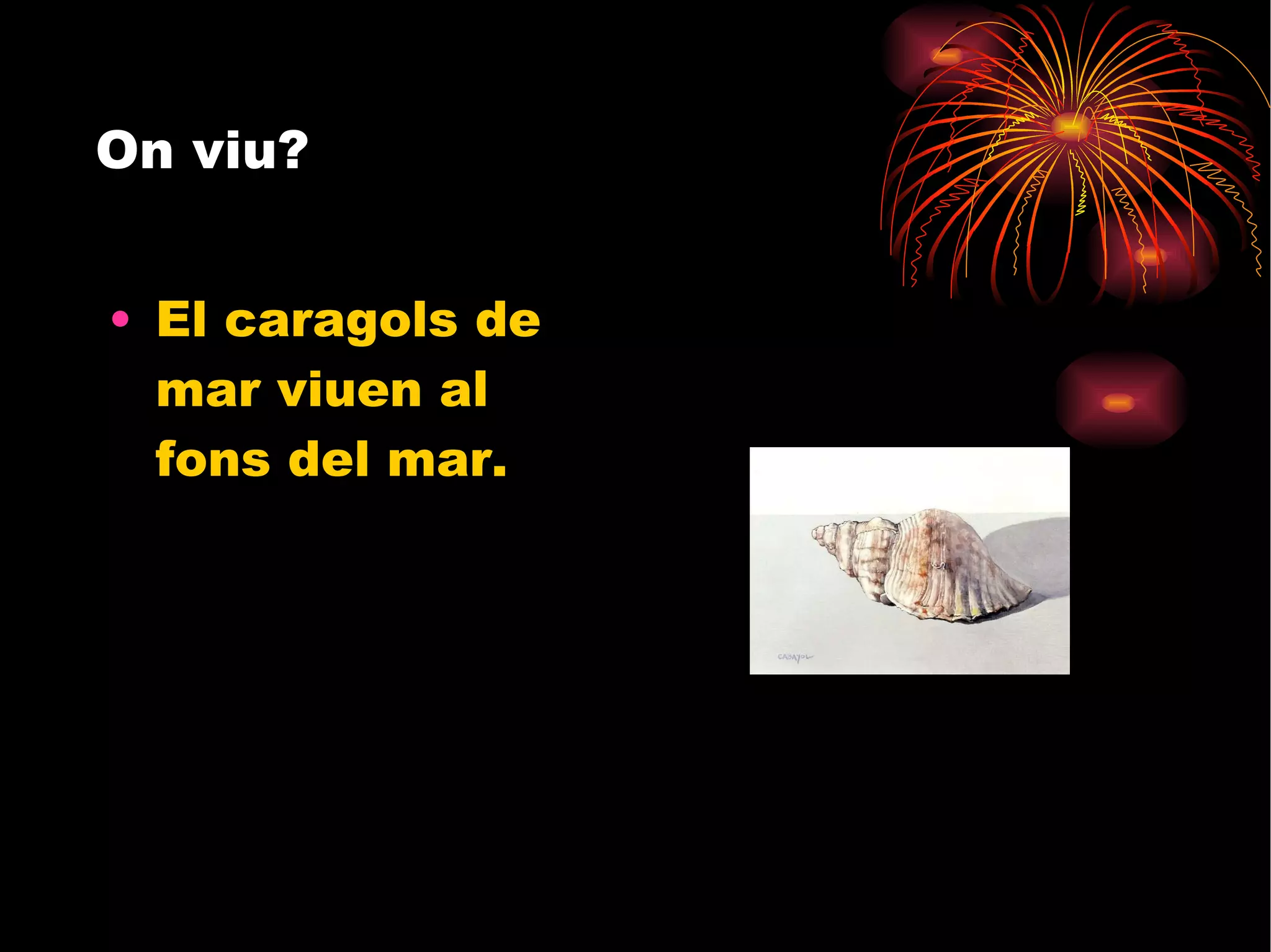 On viu?  El caragols de mar viuen al fons del mar. 