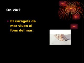 On viu?  El caragols de mar viuen al fons del mar. 