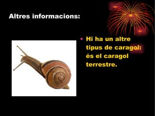 Hi ha un altre tipus de caragol: és el caragol terrestre.  Altres informacions: 