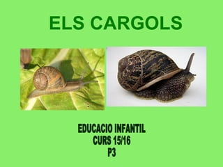 ELS CARGOLS
 
