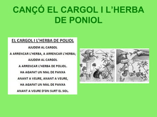 CANÇÓ EL CARGOL I L’HERBA
DE PONIOL
 