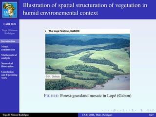Cari 2020: A minimalistic model of spatial structuration of humid savanna vegetation Slide 4
