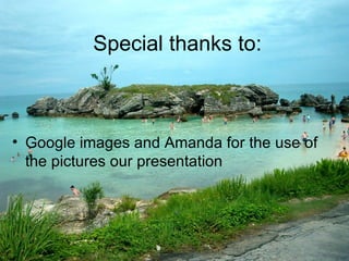 Special thanks to: Google images and Amanda for the use of the pictures our presentation 