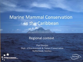 Marine Mammal Conservation  in the Caribbean Regional context Paul Hoetjes Dept. of Environment & Nature Conservation Netherlands Antilles  