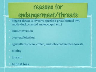 reasons for
     endangerment/threats
biggest threat is invasive species ( great horned owl,
ruddy duck, crested anole, coquí, etc.)

land conversion

over-exploitation

agriculture-cacao, coffee, and tobacco threaten forests

mining

tourism

habitat loss
 
