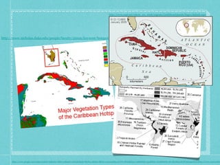http://www.cepf.net/where_we_work/regions/CaribbeanIslands/Pages/default.aspx




http://www.nicholas.duke.edu/people/faculty/pimm/keywest/hotspot.php




      http://www.google.com/imgres?start=96&um=1&hl=en&safe=strict&client=firefox-a&tbo=d&rls=org.mozilla:en-US:official&biw=1280&bih=593&tbm=isch&tbnid=9F-cSr1Mg31XJM:&imgrefurl=http://www.sciencedire
 