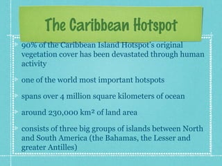 The Caribbean Hotspot
90% of the Caribbean Island Hotspot’s original
vegetation cover has been devastated through human
activity

one of the world most important hotspots

spans over 4 million square kilometers of ocean

around 230,000 km² of land area

consists of three big groups of islands between North
and South America (the Bahamas, the Lesser and
greater Antilles)
 