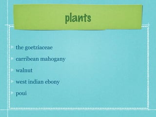 plants

the goetziaceae

carribean mahogany

walnut

west indian ebony

poui
 